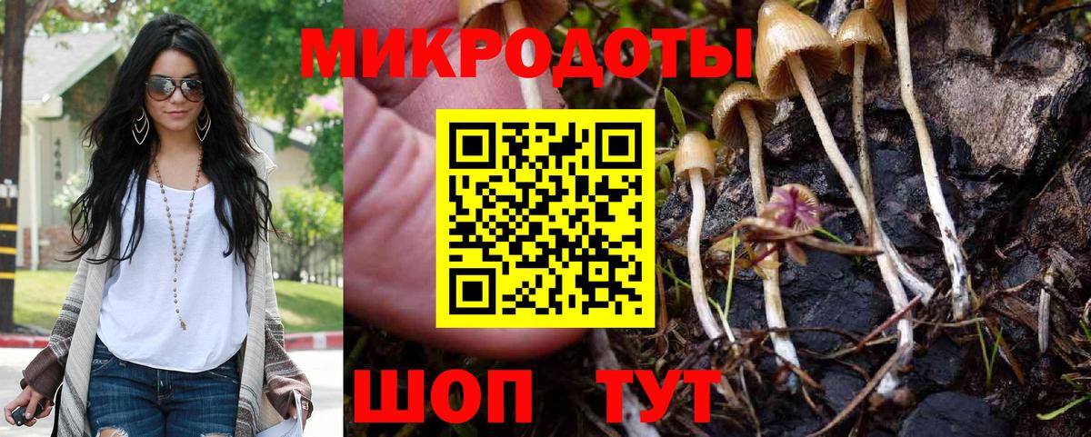 Псилоцибиновые грибы GOLDEN TEACHER  Вход с VPN  Заводоуковск 